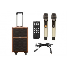 Loa kéo Sumico Touring 10 200W