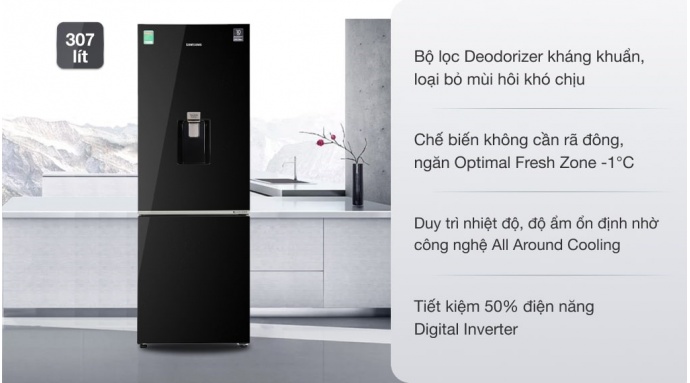 Tủ lạnh Samsung Inverter 307 lít RB30N4190BU/SV