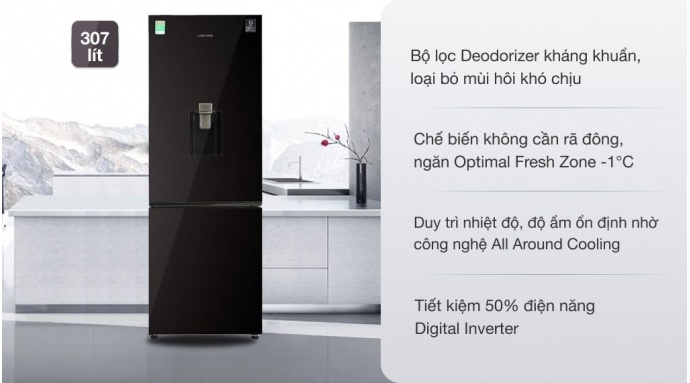 Tủ lạnh Samsung Inverter 307 lít RB30N4190BY/SV