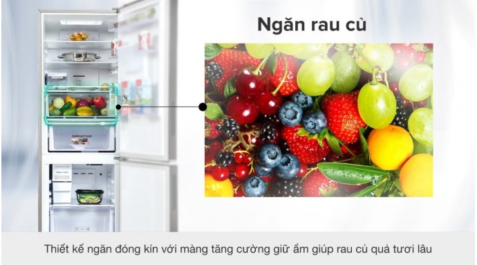 Tủ lạnh Samsung Inverter 307 lít RB30N4190BU/SV