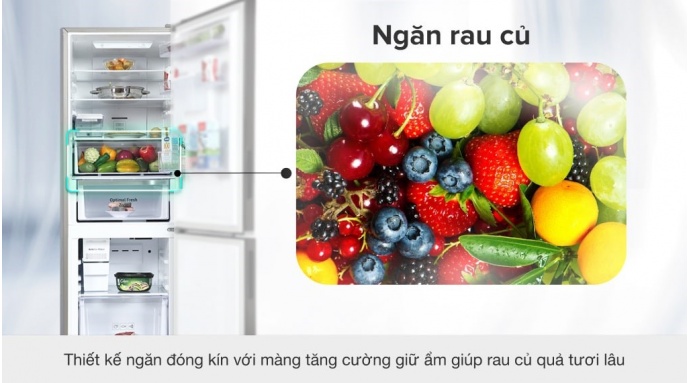 Tủ lạnh Samsung Inverter 307 lít RB30N4190BY/SV