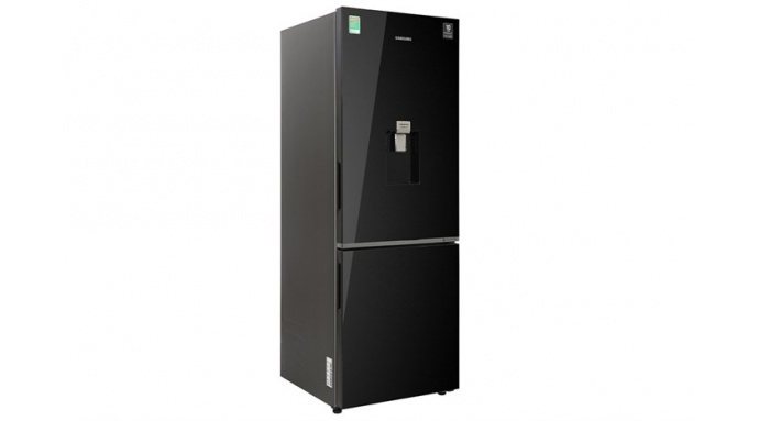 Tủ lạnh Samsung Inverter 307 lít RB30N4190BU/SV
