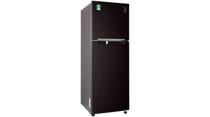 Tủ lạnh Samsung Inverter 236 lít RT22M4032BY/SV
