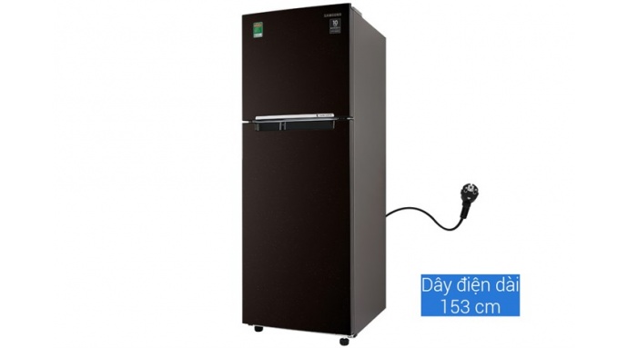 Tủ lạnh Samsung Inverter 236 lít RT22M4032BY/SV